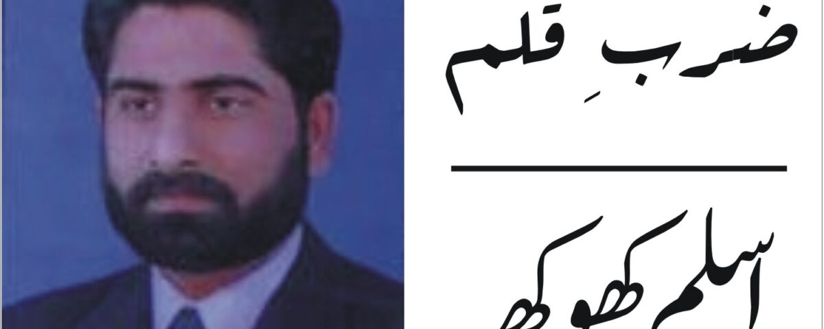 میڈیا زون ٹی وی