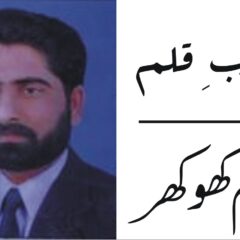 میڈیا زون ٹی وی
