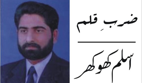 میڈیا زون ٹی وی