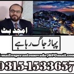 Amjad butt
